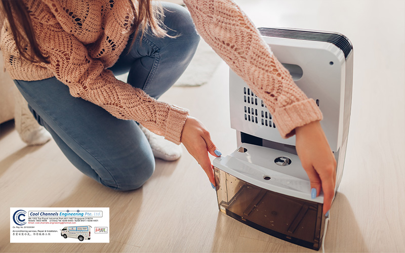 Using a dehumidifier